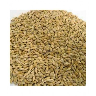 VINARGHYA PHARMACEUTICALS JAU / JAB / JAV / JAVA / YAVAM / BARLEY Raw Herbs 250 gm Pack Of 1