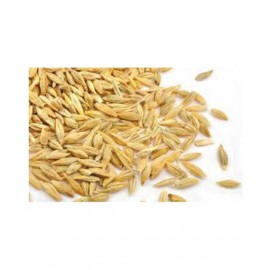 VINARGHYA PHARMACEUTICALS JAU / JAB / JAV / JAVA / YAVAM / BARLEY Raw Herbs 250 gm Pack Of 1