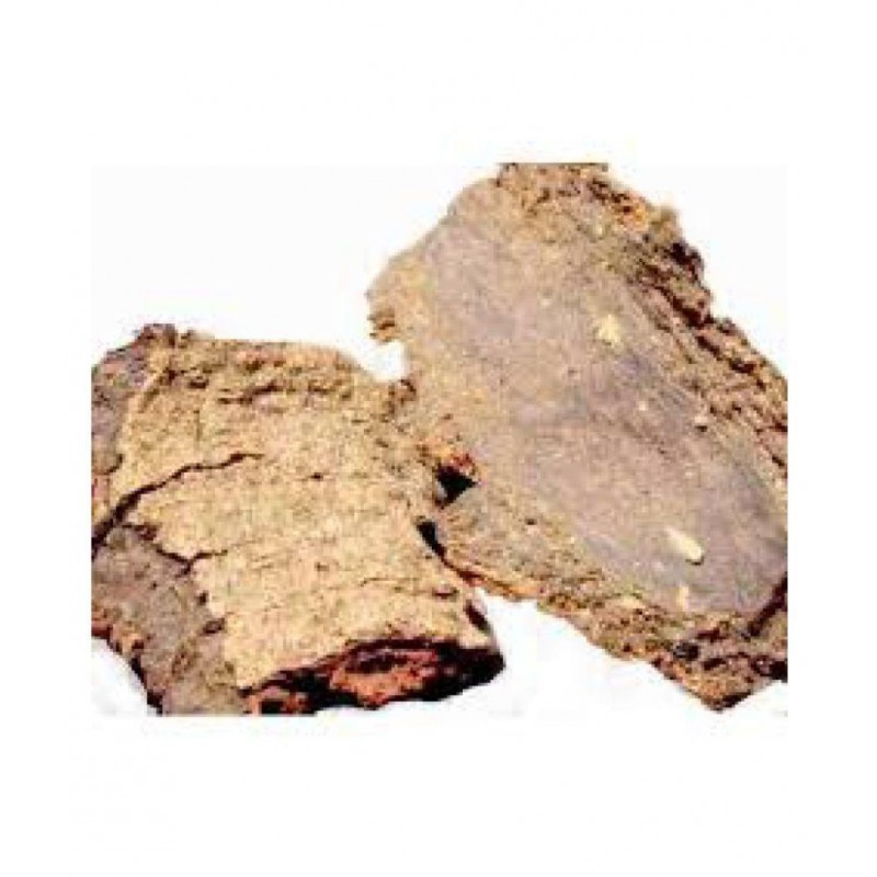 VINARGHYA PHARMACEUTICALS KAIFAL / KAIPHAL / BOX MYRTALE / KATFAL Raw Herbs 100 gm Pack Of 1