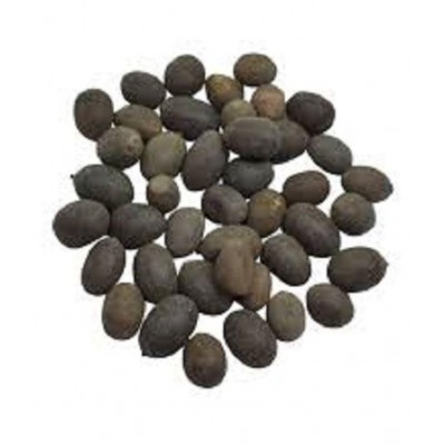 VINARGHYA PHARMACEUTICALS KAMAL KAKDI / KAMAL KAND / KAMAL GATTA Raw Herbs 100 gm Pack Of 1