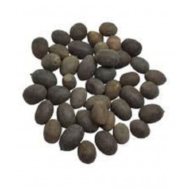 VINARGHYA PHARMACEUTICALS KAMAL KAKDI / KAMAL KAND / KAMAL GATTA Raw Herbs 100 gm Pack Of 1