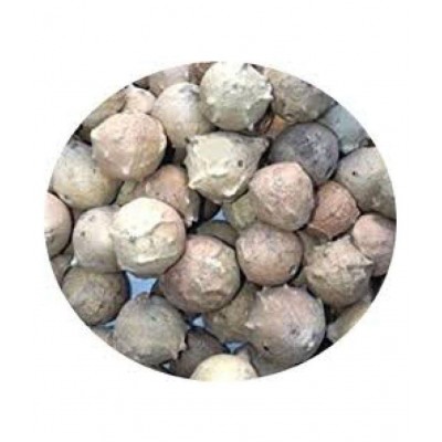VINARGHYA PHARMACEUTICALS MAJUPHAL / MAJUFAL / MAZU / MAYAPHALA Raw Herbs 100 gm Pack Of 1