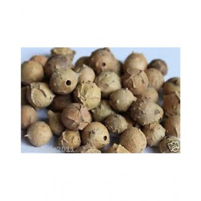 VINARGHYA PHARMACEUTICALS MAJUPHAL / MAJUFAL / MAZU / MAYAPHALA Raw Herbs 100 gm Pack Of 1