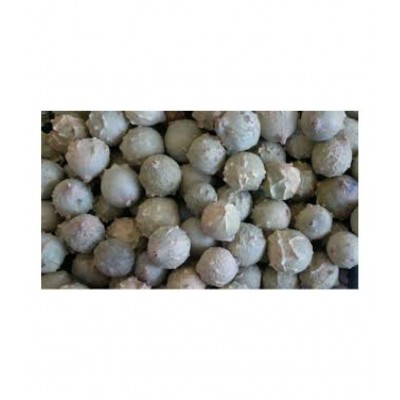 VINARGHYA PHARMACEUTICALS MAJUPHAL / MAJUFAL / MAZU / MAYAPHALA Raw Herbs 100 gm Pack Of 1