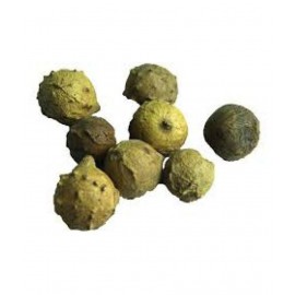 VINARGHYA PHARMACEUTICALS MAJUPHAL / MAJUFAL / MAZU / MAYAPHALA Raw Herbs 100 gm Pack Of 1