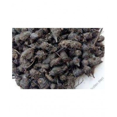 VINARGHYA PHARMACEUTICALS NAGARMOTHA / NUTS GRASS Raw Herbs 400 gm Pack Of 1