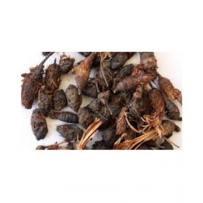 VINARGHYA PHARMACEUTICALS NAGARMOTHA / NUTS GRASS Raw Herbs 400 gm Pack Of 1