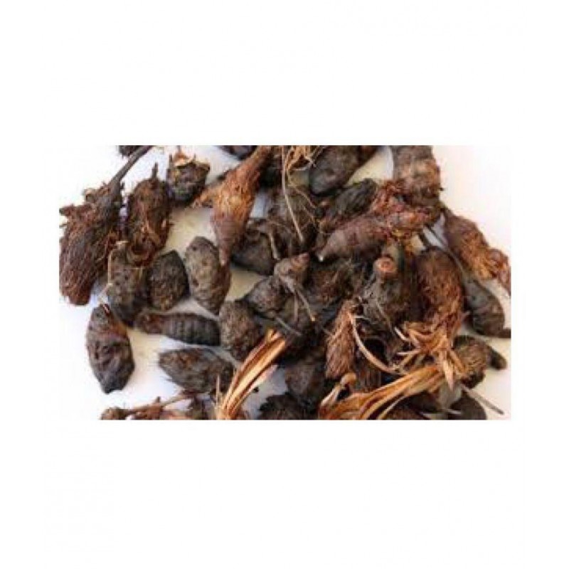 VINARGHYA PHARMACEUTICALS NAGARMOTHA / NUTS GRASS Raw Herbs 400 gm Pack Of 1