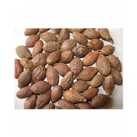 VINARGHYA PHARMACEUTICALS NIRANJAN PHAL / MALVA NUT / CHINA PHAL Raw Herbs 50 gm Pack Of 1