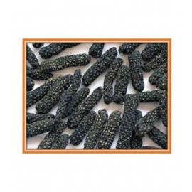 VINARGHYA PHARMACEUTICALS PAN PIMPALI / LONG PEPPER / PIPAR Raw Herbs 100 gm Pack Of 1