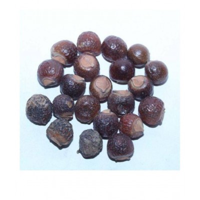 VINARGHYA PHARMACEUTICALS REETHA / RITHA / SOAP NUT / KUNKUDUKAI Raw Herbs 200 gm Pack Of 1