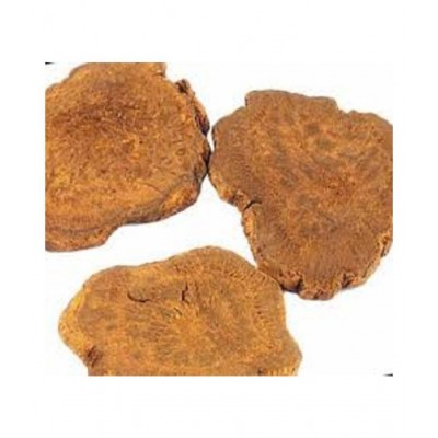 VINARGHYA PHARMACEUTICALS REVANCHINI / INDIAN RHUBARB / RAWASH Raw Herbs 100 gm Pack Of 1