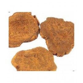 VINARGHYA PHARMACEUTICALS REVANCHINI / INDIAN RHUBARB / RAWASH Raw Herbs 100 gm Pack Of 1