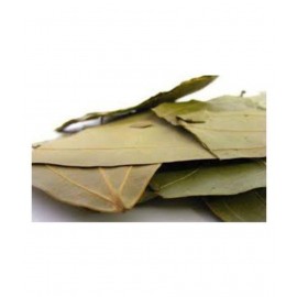 VINARGHYA PHARMACEUTICALS TEJPAN / TEJPATTA / MASALA AKU / PATHTHA Raw Herbs 100 gm Pack Of 1