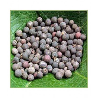 VINARGHYA PHARMACEUTICALS VIDANGA / VAVDING / FALSE BLACK PEPER Raw Herbs 80 gm Pack Of 1