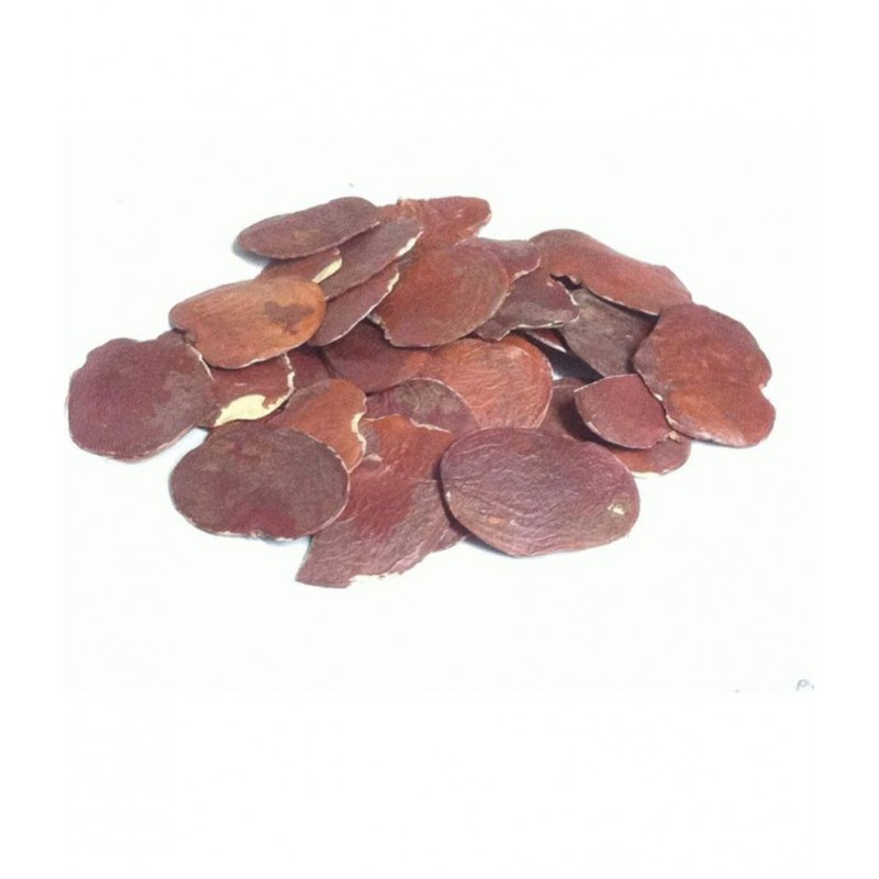 VINARGHYA Palas Papadi / Palash Papda / Plash Beej / Dhak / Tesu Bij / Khakharo 100 gm