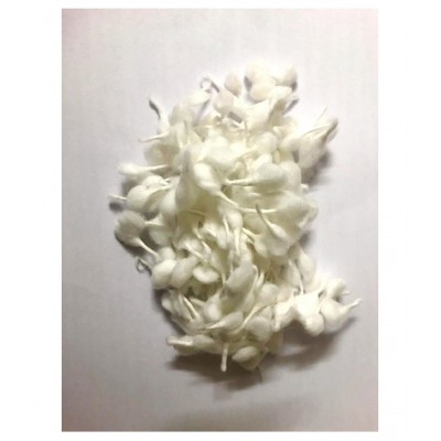 VINARGHYA Phool Bati / Cotton Round Wicks for Diya Raw Herbs 400 no.s Pack Of 1 VINARGHYA Phool Bati / Cotton Round Wicks for Diya Raw Herbs 400 no.s Pack Of 1