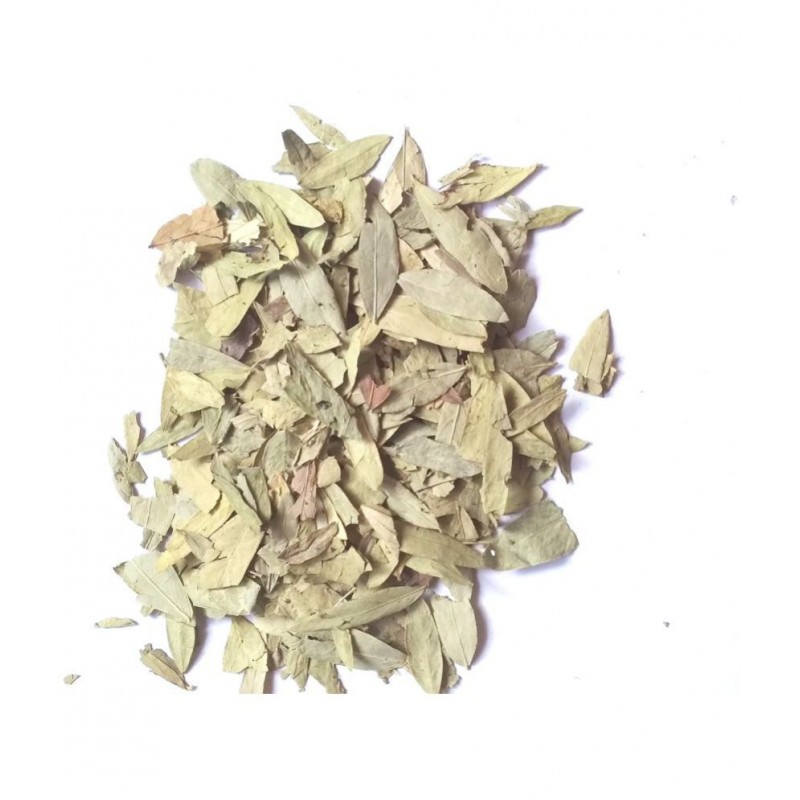 VINARGHYA Sena Leaf / Sana Patta / Indian Sena / Sonamukhi / Sanay / Nelaavare 100 gm