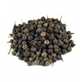 VINARGHYA Shitalchini / Sheetalchini / Piper Cubeba / Kababchini / Kakkol 50 gm