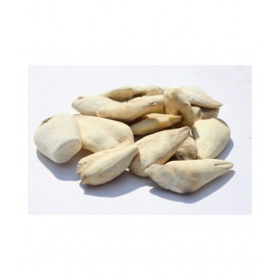 VINARGHYA Suranjan Mithi / Colchicum Luteum Raw Herbs 100 gm Pack Of 1
