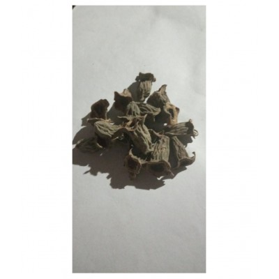 VINARGHYA Waykumbha / Karna Phool / Vaikumbha Raw Herbs 100 gm Pack Of 1