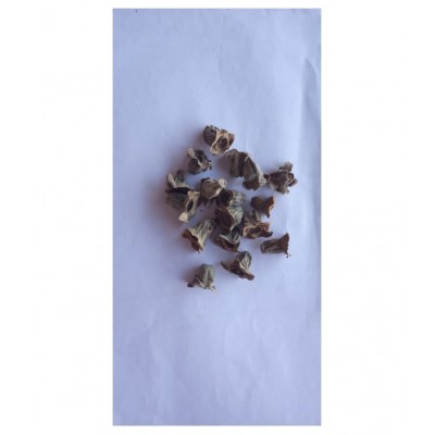 VINARGHYA Waykumbha / Karna Phool / Vaikumbha Raw Herbs 100 gm Pack Of 1