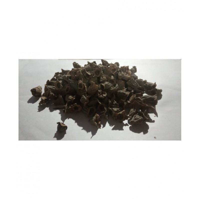 VINARGHYA Waykumbha / Karna Phool / Vaikumbha Raw Herbs 100 gm Pack Of 1