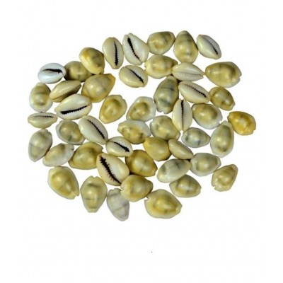 VIRANGHYA Yellow Kaudi / Peeli Kawdi / Pili Kowdi Raw Herbs 21 gm VIRANGHYA Yellow Kaudi / Peeli Kawdi / Pili Kowdi Raw Herbs 21 gm