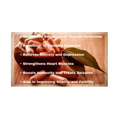 VUBASIL Ashwagandha for Strength, Diabetes and Stress 60 Capsule 800 mg