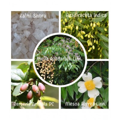 VUBASIL Herbal Piles Care Reduces Bleeding Pain Capsule 15 no.s Pack Of 1