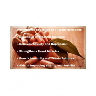 VUBASIL Pure Ashwagandha (180Caps) Anxiety Relief Stress Support for Immunity Boosters 800 mg Minerals Capsule VUBASIL Pure Ashwagandha (180Caps) Anxiety Relief Stress Support for Immunity Boosters 800 mg Minerals Capsule