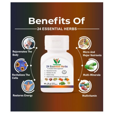 Vaddmaan 24 Essential Herbs - 90 Capsules | Natural Superfood | Herbal | Ayurvedic