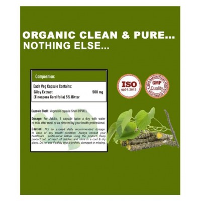 Vaddmaan Giloy (Pure bitter extract) Vegetarian Capsules - Immune Health & Well-Being (Pack of 1) Guduchi, Tinospora Cordifolia
