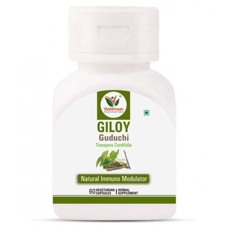 Vaddmaan Giloy (Pure bitter extract) Vegetarian Capsules - Immune Health & Well-Being (Pack of 1) Guduchi, Tinospora Cordifolia