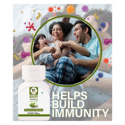 Vaddmaan Giloy (Pure bitter extract) Vegetarian Capsules - Immune Health & Well-Being (Pack of 1) Guduchi, Tinospora Cordifolia