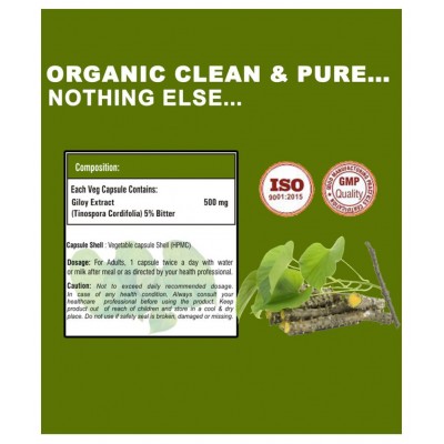 Vaddmaan Giloy (Pure bitter extract) Vegetarian Capsules - Immune Health & Well-Being (Pack of 2) Guduchi, Tinospora Cordifolia