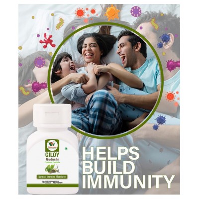 Vaddmaan Giloy (Pure bitter extract) Vegetarian Capsules - Immune Health & Well-Being (Pack of 2) Guduchi, Tinospora Cordifolia