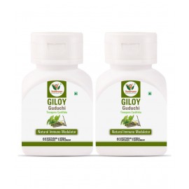 Vaddmaan Giloy (Pure bitter extract) Vegetarian Capsules - Immune Health & Well-Being (Pack of 2) Guduchi, Tinospora Cordifolia