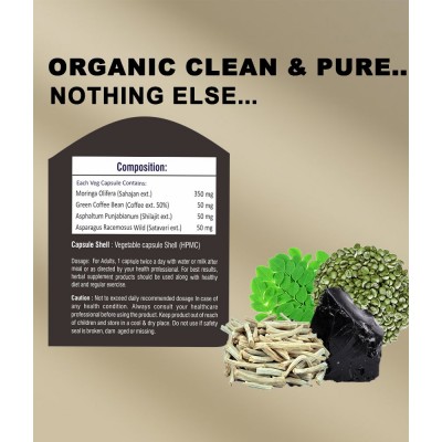 Vaddmaan Moringa ++ With Shilajit, Satavari, Green Coffee Bean Extract, For Natural Energy - 60 Veg Capsules