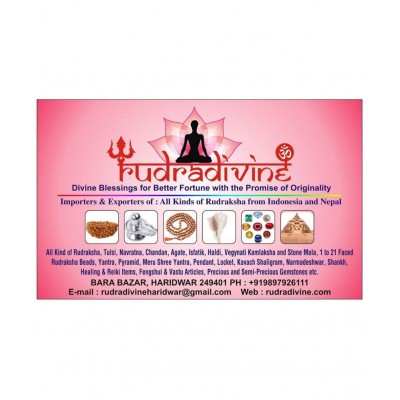 Vastu Feng Shui Golden Metal Turtle Tortoise Plate for Good Luck size 4-Inch Feng Shui Turtle Plate Best Gift for Career / Fengshui Tortoise / Turtle For Good Luck with Metal plate for stability