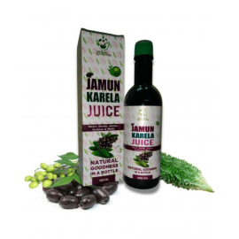 WECURE AYURVEDA Jamun Karela Juice Liquid 500 ml WECURE AYURVEDA Jamun Karela Juice Liquid 500 ml