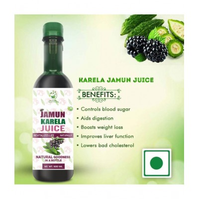 WECURE AYURVEDA Karela Jamun Juice Natural Remedy Blood Sugar Management Helps in Reducing 500ML 500 ml Multivitamins Syrup