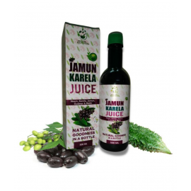 WECURE AYURVEDA Neem Jamun Karela Juice Liquid 500 ml Pack Of 1 WECURE AYURVEDA Neem Jamun Karela Juice Liquid 500 ml Pack Of 1