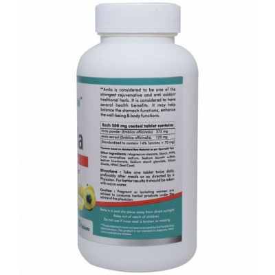 Way2Herbal Amla Tablet 120 no.s Pack Of 1
