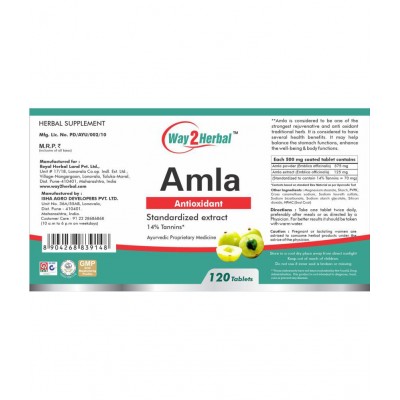 Way2Herbal Amla Tablet 120 no.s Pack Of 1