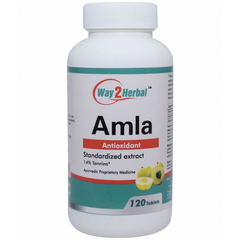 Way2Herbal Amla Tablet 120 no.s Pack Of 1