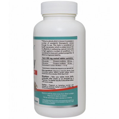 Way2Herbal Giloy Tablet 120 no.s Pack Of 1