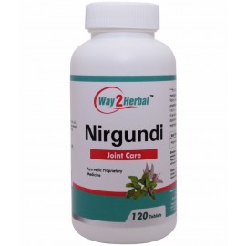 Way2Herbal Nirgundi Tablet 120 no.s Pack Of 1