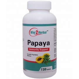 Way2Herbal Papaya Tablet 120 no.s Pack Of 1