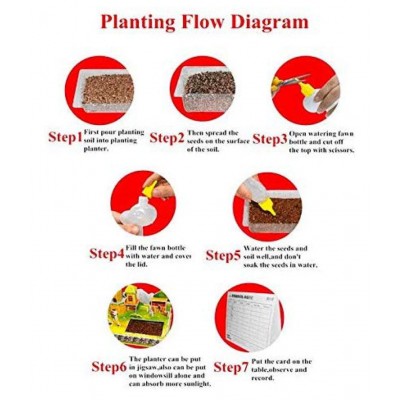 Webby DIY Sweet Home Building Model 3D Jigsaw Puzzle with Real Plant Eductaion Toy,30Pcs